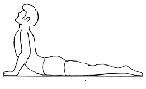 swadhisthana yoga sacral chakra yoga position bhujangasana cobra pose