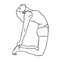 vishuddha throat chakra yoga position position ushtrasana camel pose